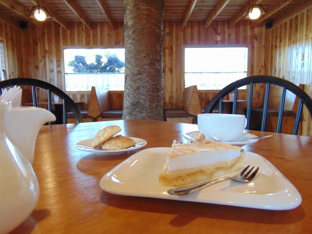 Cafe & Hostal Acurruka Curacautín المظهر الخارجي الصورة